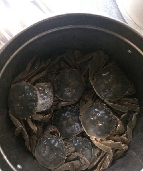 如何做醉蟹图4