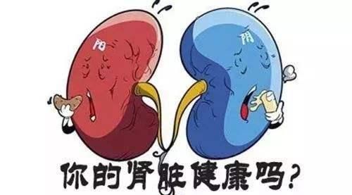 肾炎有什么症状，肾炎有哪些症状男性图5
