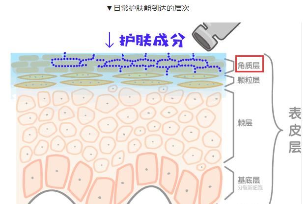 西瓜皮敷脸，用西瓜皮擦脸有哪些功效和作用图3