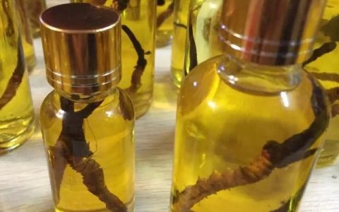 冬虫夏草酒的功效，冬虫夏草可以泡酒吗?的功效与作用及禁忌
