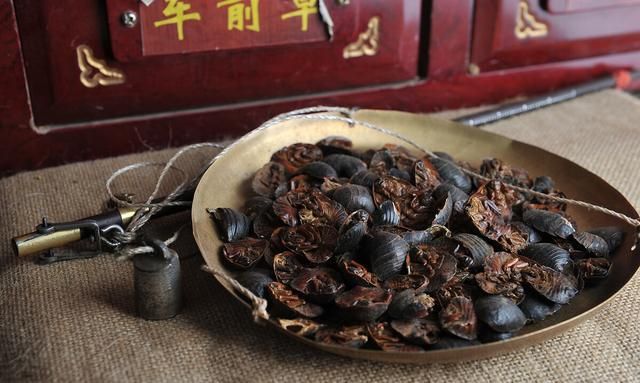 土鳖虫的功效，土鳖虫有什么功效图3