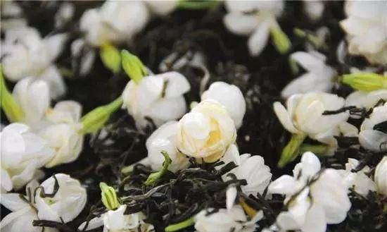 茉莉花茶能每天喝吗图11