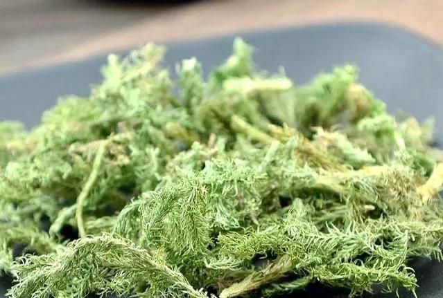 伸筋草的功效与作用，伸筋草有什么作用与功效图2