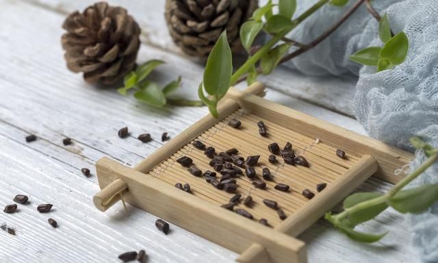 吴茱萸的功效与作用，吴茱萸的功效是什么图1