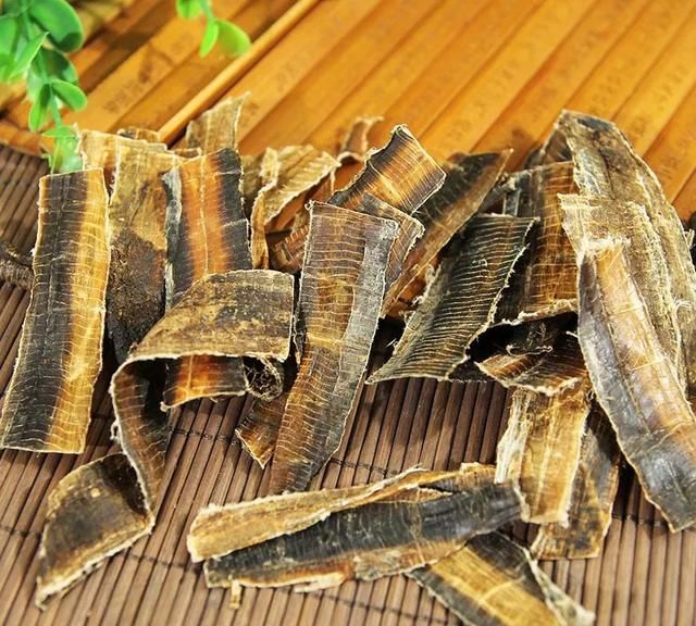 地龙的功效，地龙有什么作用和功效图8