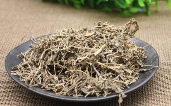 垂盆草的功效与作用，农村常见的垂盆草有什么作用呢图6