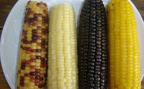 玉米的功效与作用，玉米的营养价值和功效图2
