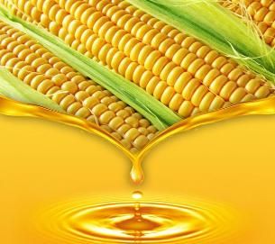 玉米的功效与作用，玉米的营养价值和功效图3