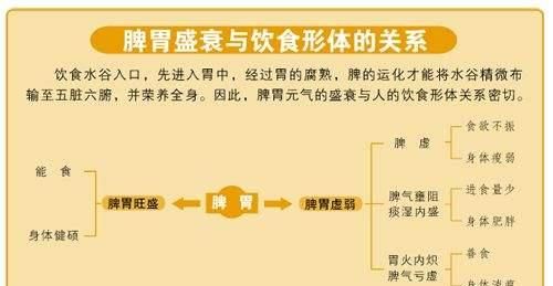 四君子汤的功效，什么是四君子汤?有什么功效?图2