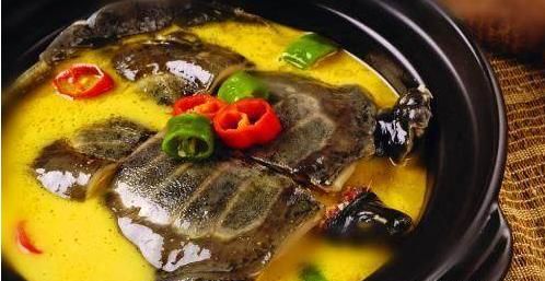 杀甲鱼视频全过程视频图1