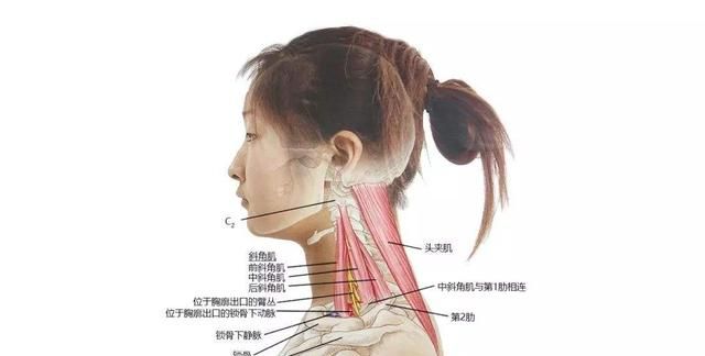 颈椎病做小针刀有危害图5