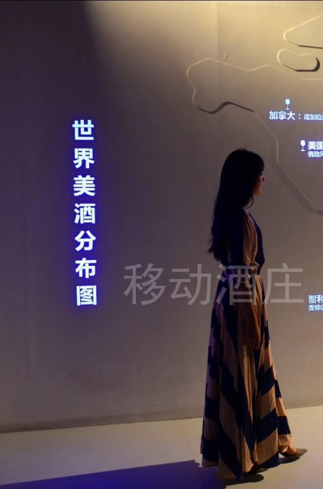 贺兰山葡萄酒，贺兰神葡萄酒怎么样图26