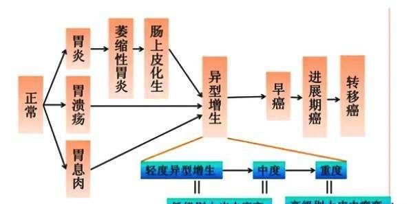 胃粘膜脱垂症，胃粘膜腺体重度异型增生是癌症吗图4