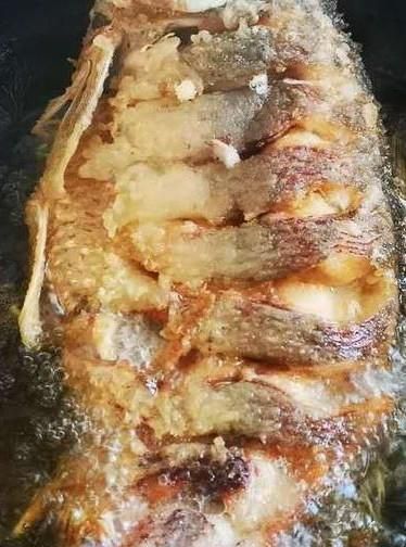 糖醋鲤鱼图16