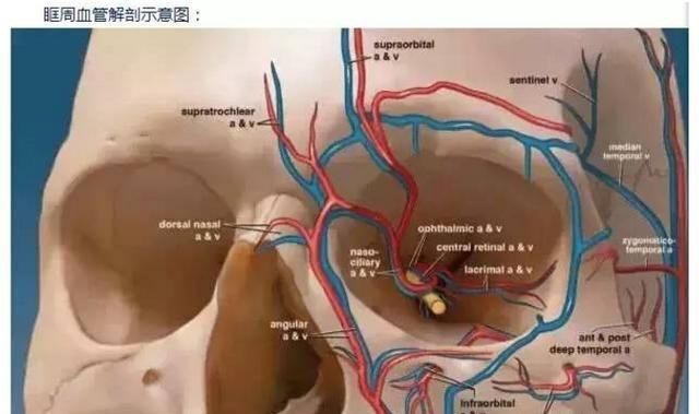 玻尿酸填充安全吗图13