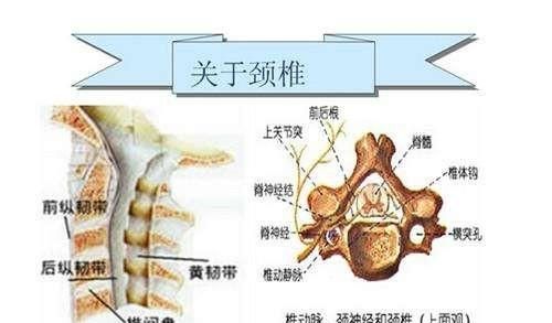 按摩枕头，颈椎病可以用按摩枕按摩吗图2