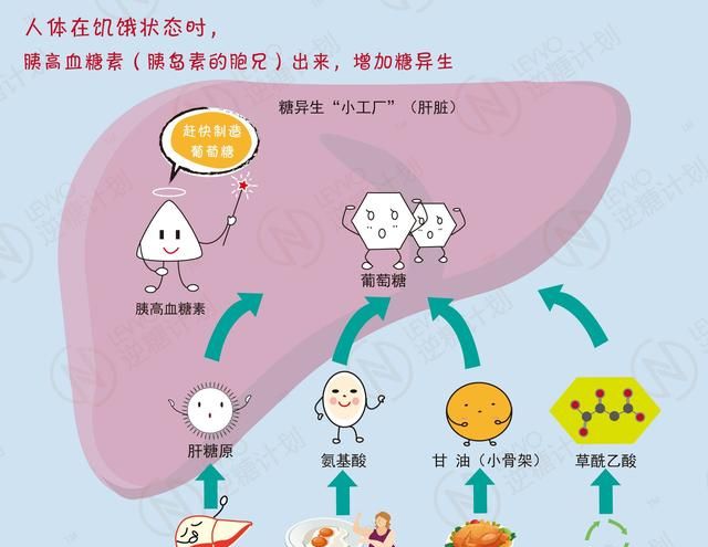 纯蛋白质减肥法，低碳水高蛋白减肥食物图2