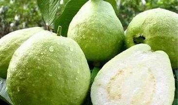 夏季吃什么水果既有饱腹感又能减肥呢图10