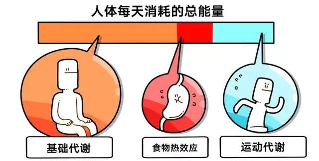 一天吃多少卡路里算节食图2