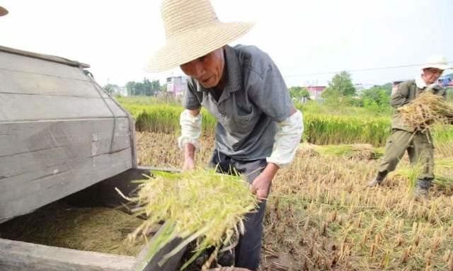 老年人骨折吃什么好，老年人吃什么营养品对身体好图2