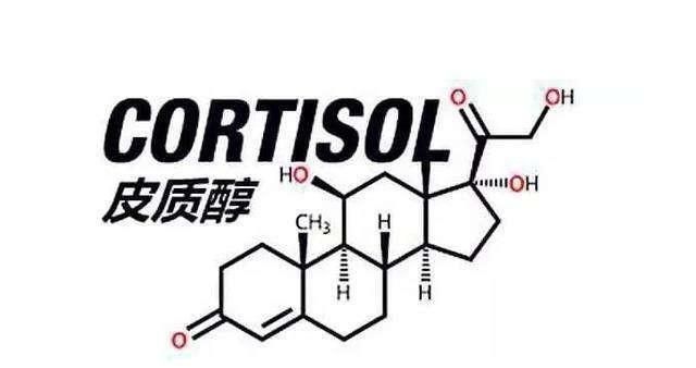 健康饮食减肥，如何健康减肥最快最有效方法图2