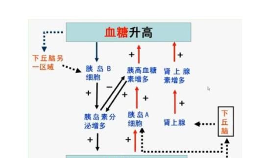 鼻子上长痤疮怎么治，鼻子上长痘痘的解决方法图4