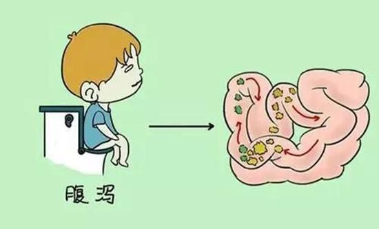 拉肚子吃什么，拉肚子可以吃什么?图4
