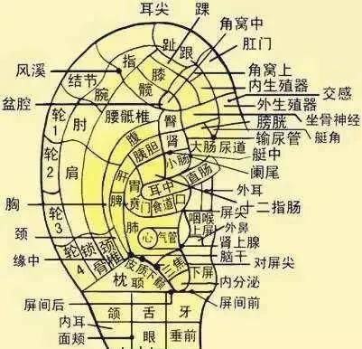 哮喘怎么治，哮喘一般该怎么治疗图19