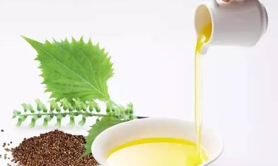 食用橄榄油，苏籽油和橄榄油食用特点和健康区别是什么图1