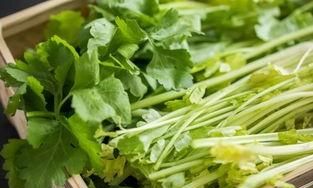 高血压吃什么降压最好,吃芹菜真的可以降血压吗图6