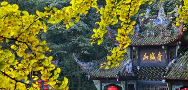 白果炖鸡的做法，青城山白果炖鸡 做法图1