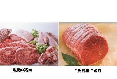 瘦肉精的危害，用瘦肉精喂猪会导致什么图3