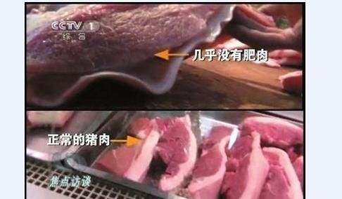 瘦肉精的危害，用瘦肉精喂猪会导致什么图4