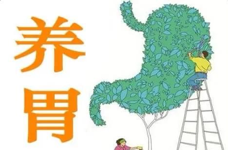 吃什么养胃?图4