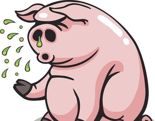 母猪肉能吃吗，为什么母猪的肉不能吃图7