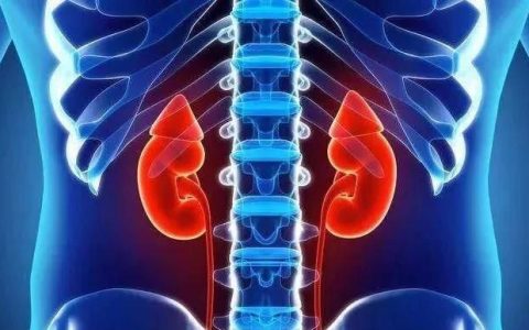 男人用什么泡水喝壮阳持久，用什么泡水喝能够养肾补肾壮阳