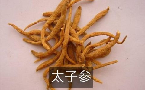 太子参的副作用，太子参的作用与功效
