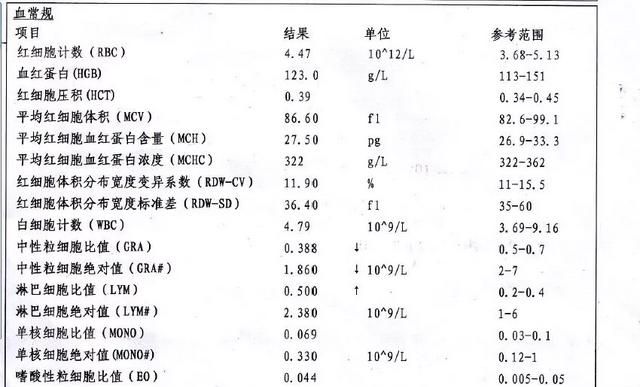 做个血常规大概需要多少钱图2