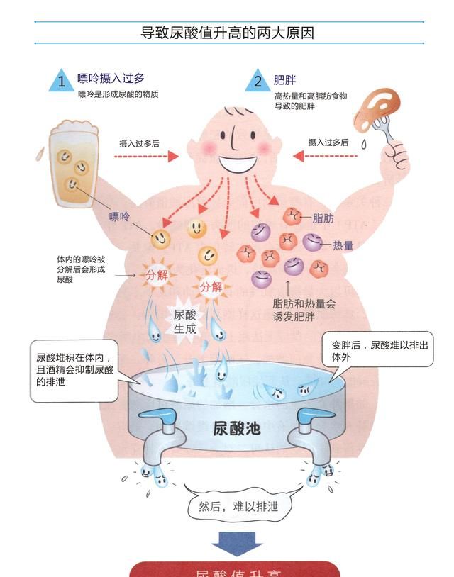 尿酸高吃什么好，尿酸高应该吃什么食物最好图3