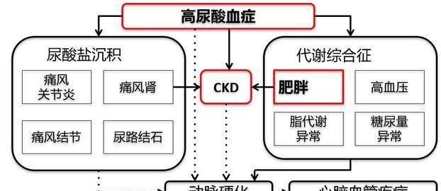 尿酸高吃什么好，尿酸高应该吃什么食物最好图22