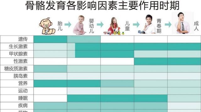 吃什么长高，吃什么对长高最有效图1