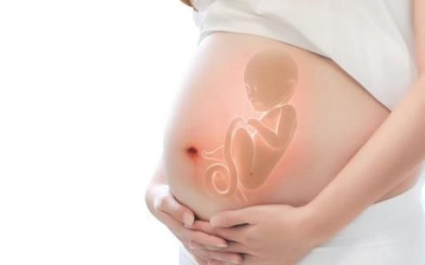 孕妇吃什么对宝宝智力好，孕妇多吃什么对胎儿大脑发育好
