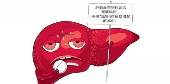 最伤肝的药物有哪些图8