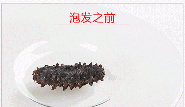 海参如何做才好吃又简单图6
