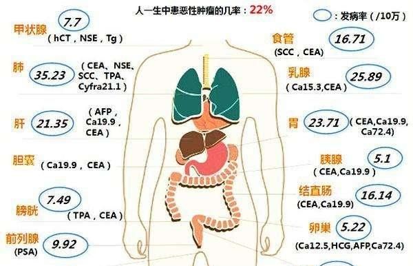 癌胚抗原定量，如何降低癌胚抗原指标图6