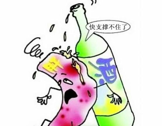 肝在什么位置?图6