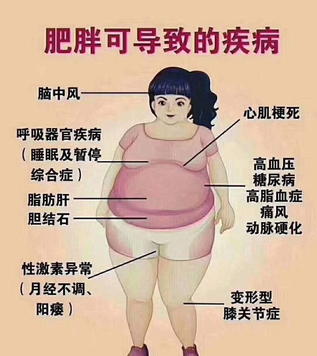 臻好大肚子茶，喝什么饮料可以减掉大肚子的肉图1