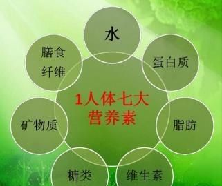 人体需要的七大营养素有哪些?图2