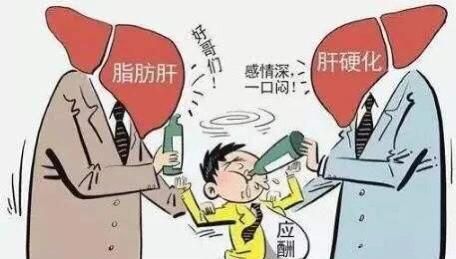 脂肪肝用什么药调理图7