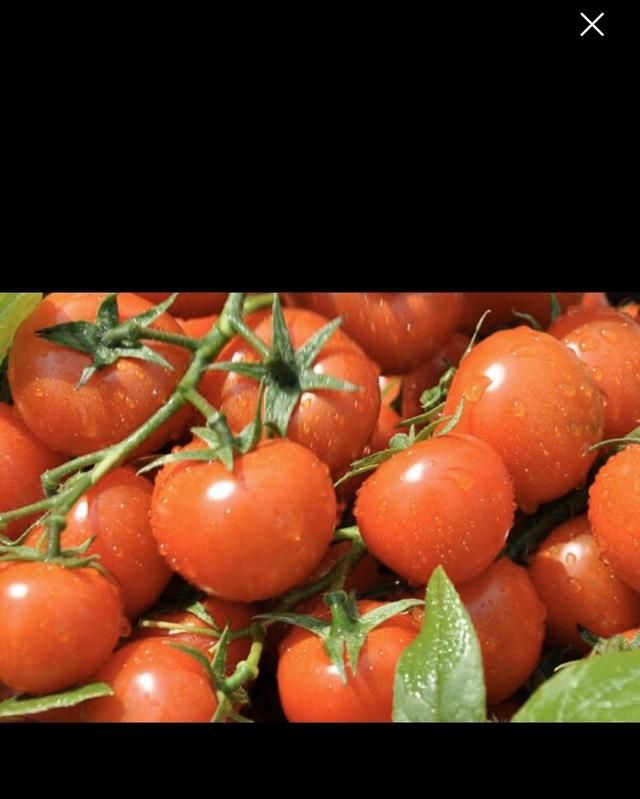 怎样吃西红柿减肥，生吃西红柿可以治便秘吗图2